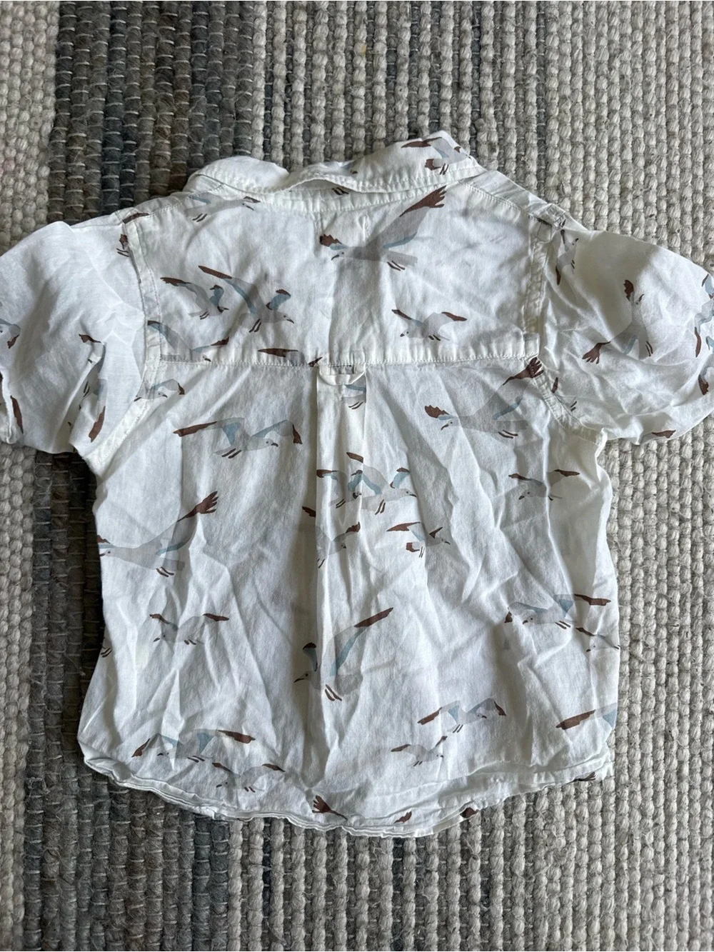 Blue Rooster Collection White Short-Sleeve Seagull Print Button-Down Shirt
